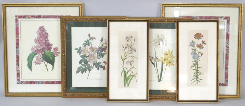 6 Botanical Prints (1 of 3)