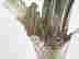 item-40765551=4