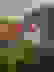 item-43487541=2