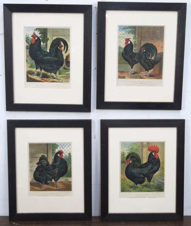 Set of 4 Color Rooster Prints (1 of 2)