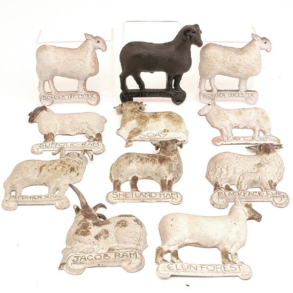 Metal Wall Plaques, Sheep & Ram Species