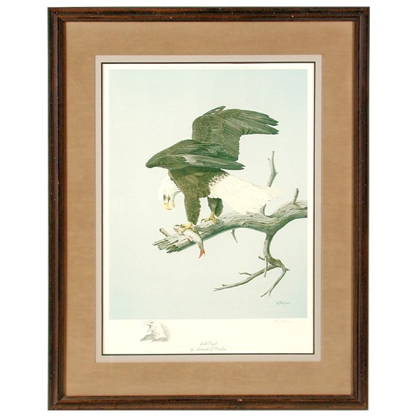 2 Maas, 2 Carlson, Waterfowl & Eagle Prints - 2