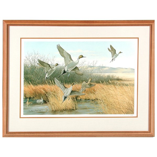 Larry Hayden & Maynard Reece, Waterfowl Prints - 2
