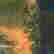 item-8004389=2