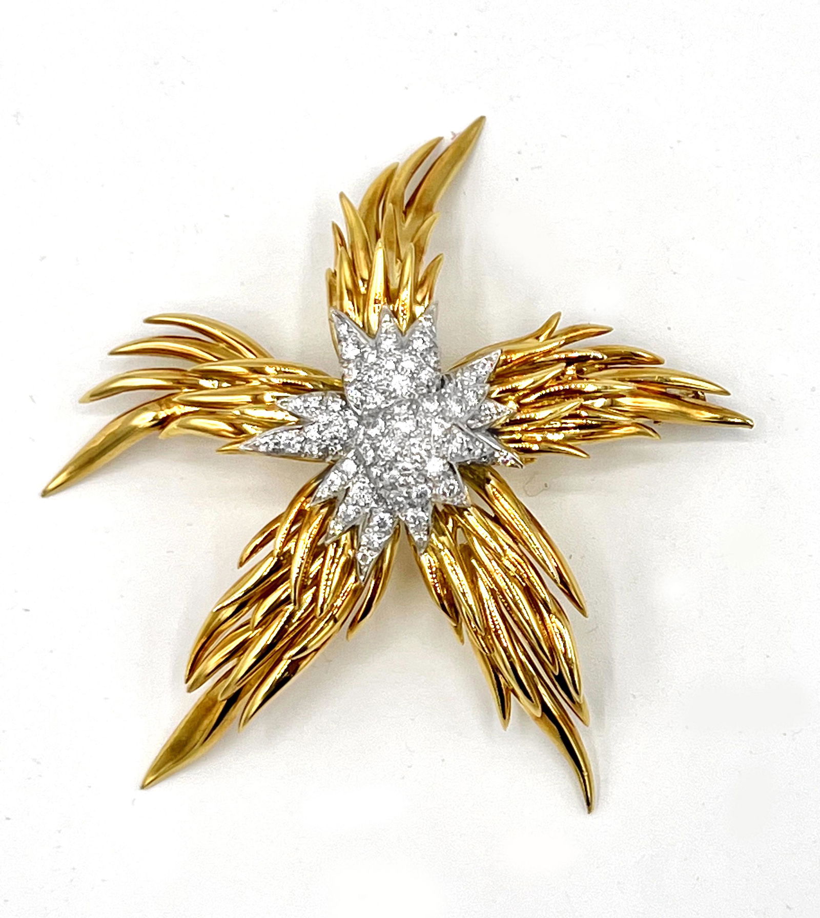 Platinum & 18kyg Tiffany & Co. Jean Schlumberger Diamond Brooch (1 of 3)