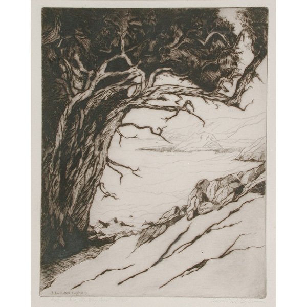 Edward DeWitt Taylor Etching, "Monterey Coast": PRINT. Edward DeWitt Taylor (1871-1962), "Cypress Tree, Monterey Coast No. VII", etching, signed "Edward DWitt Taylor" lower right, titled and numbered lower left, 12.25" x 10" viewed, in very good co