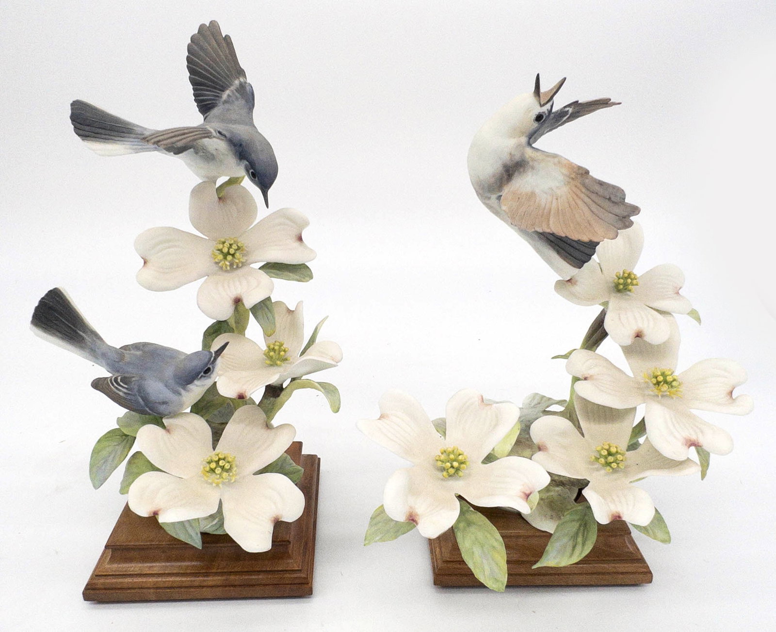 Royal Worcester Dorothy Doughty, Blue Grey Gnat Catchers (1 of 10)