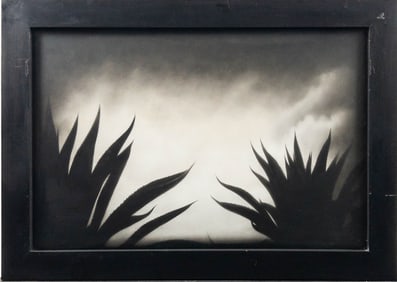 Rocky Schenck "27 Points", Gelatin silver print on paper