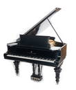 1893 Steinway & Sons Ebonzied Grand Piano
