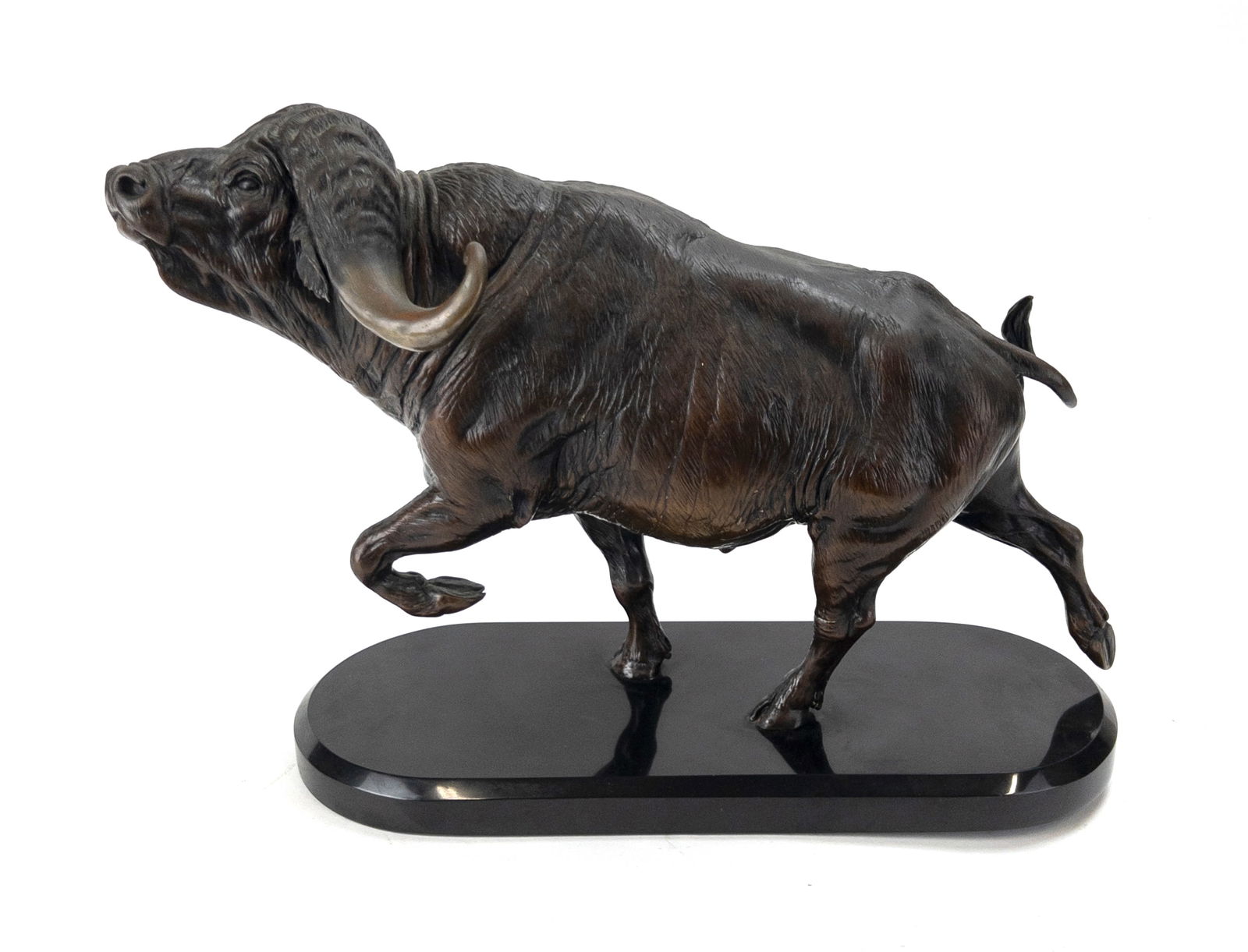 David Schaefer "African Cape Buffalo" Bronze On Marble (1 of 4)
