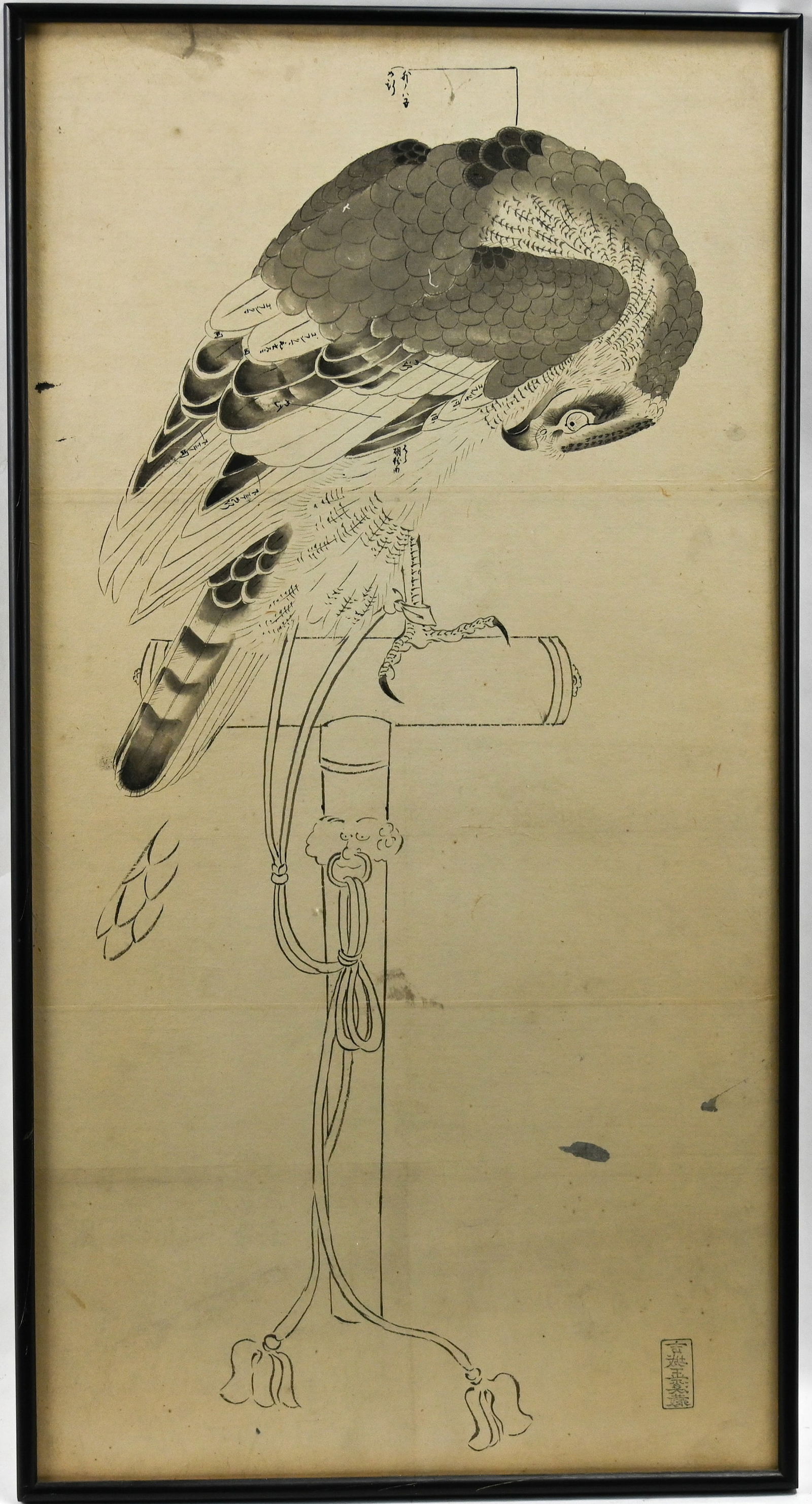 Japanese Ink Preparatory Drawing of Falcon (1 of 3)