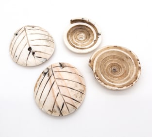 Grouping of 4 Naga Shells