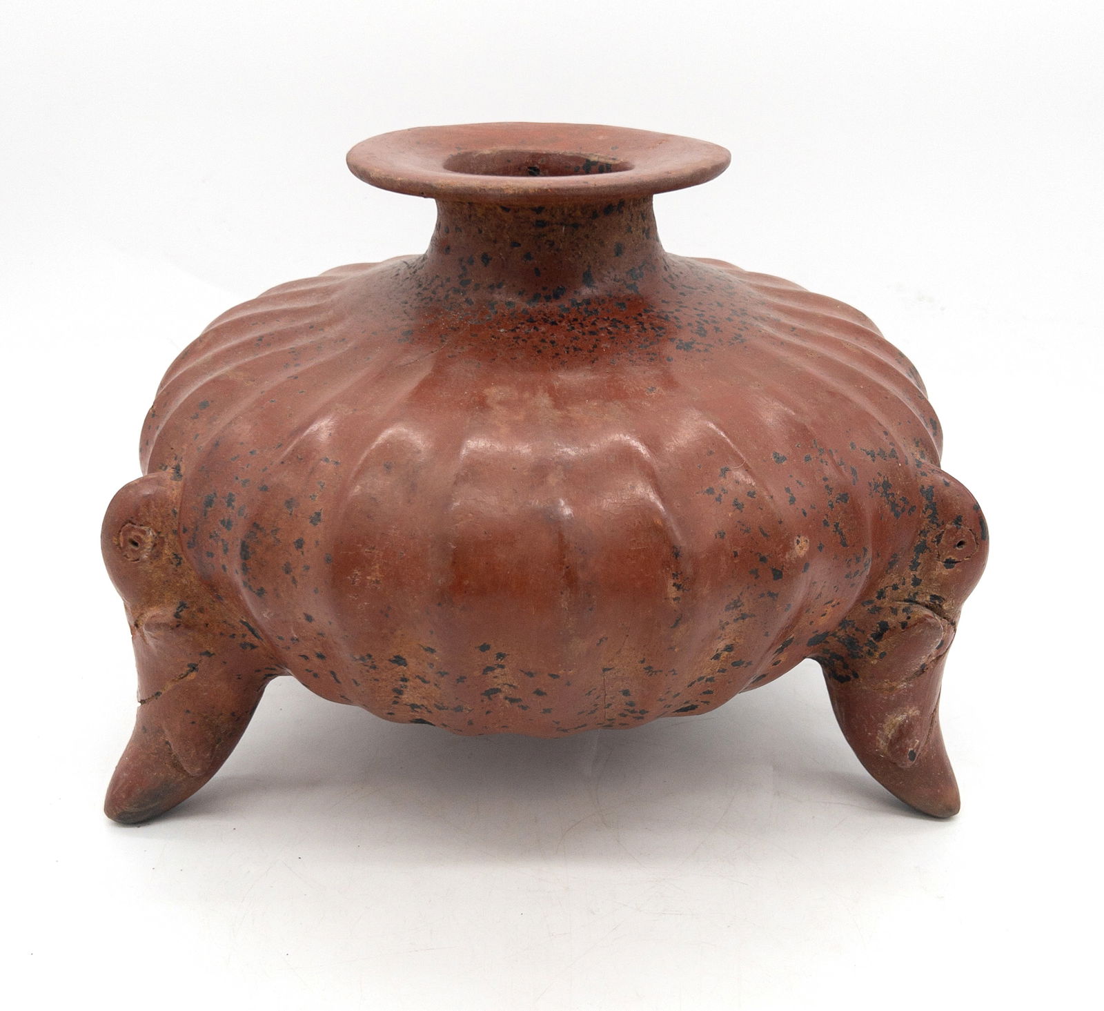 Pre-Columbian Colima Pottery Gadrooned Parrot Vessel (1 of 5)