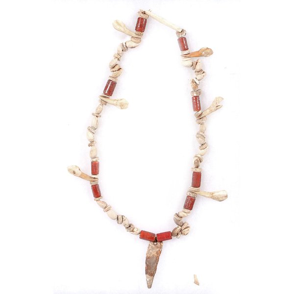 Coastal North West Indian Necklace: Coastal North West Indian Necklace, carnelian beads, shells, bone and teeth, 14 1/2" l, good original untouched condition.