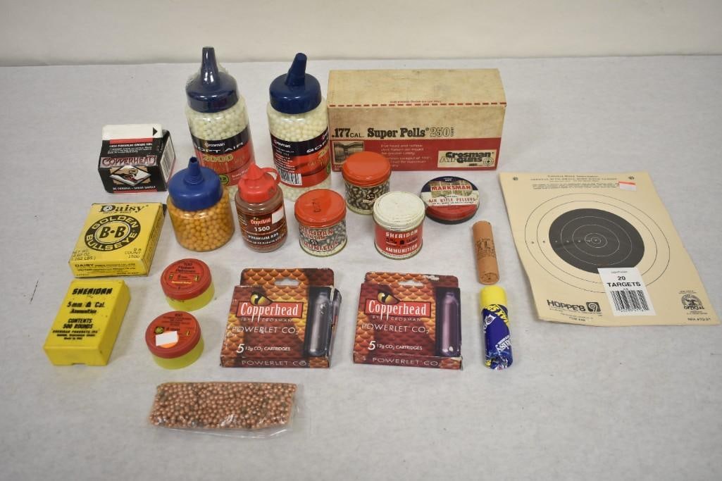 Assorted Pellets, BB's, and Targets: Assorted Pellets, BB's, and Targets