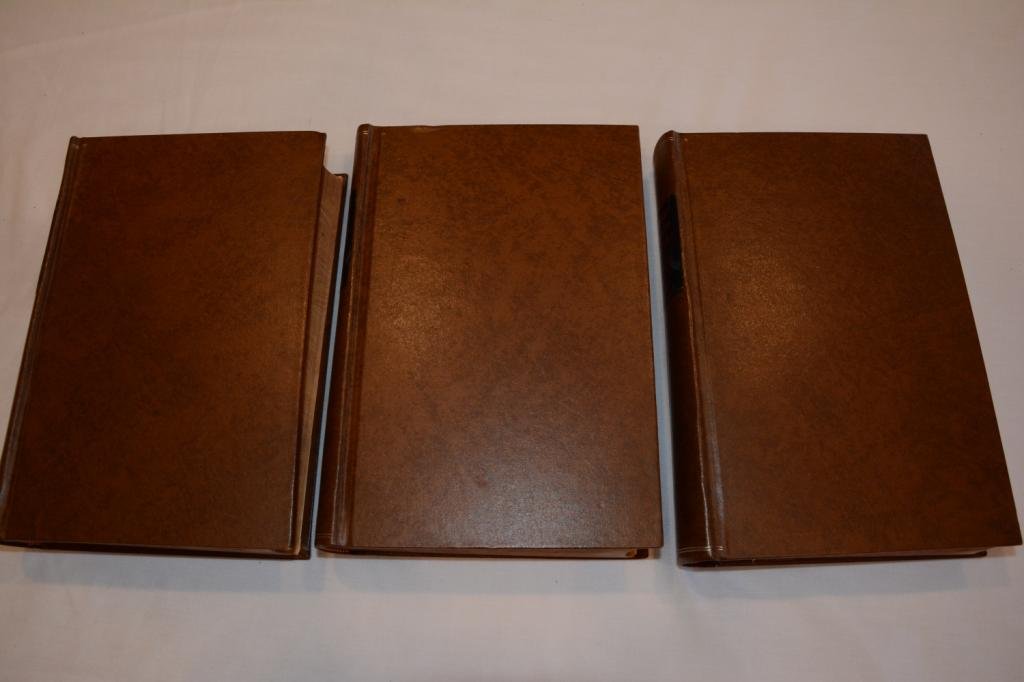 A Critical Dictionary Of English Literature: 3 Antique Books Titled: A Critical Dictionary Of English Literature And British And American Authors. Author: Allibone, S. Austin. Publishing Place: Philadelphia. Year: 1900. Three volumes, complete, 