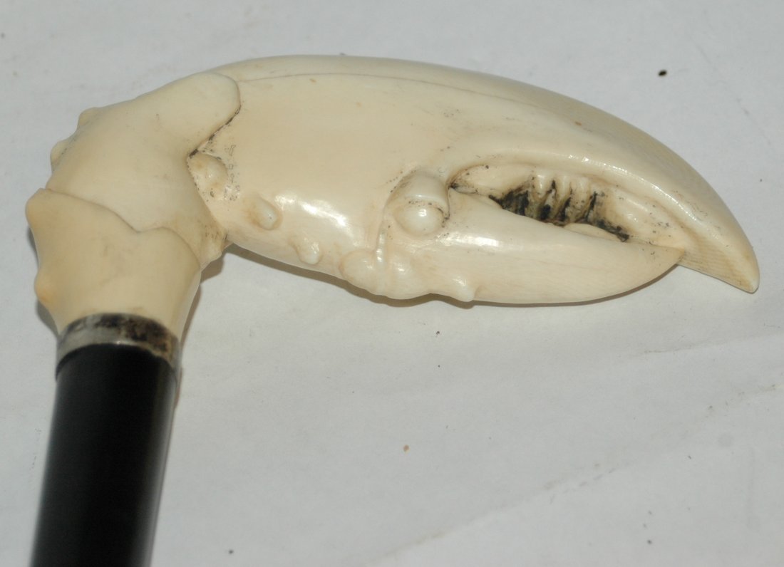 Antique Carved Lobster Claw Cane Handle Walking Stick (1 of 3)