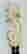 item-126026066=2