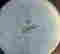 item-131602557=3