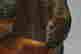 item-131602954=6