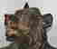 item-131603011=3