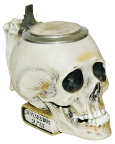 Bohne Porcelain Skull on Book Character Stein