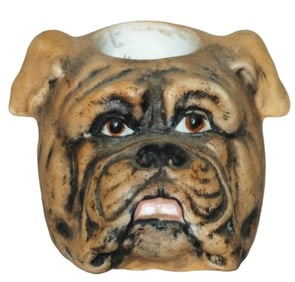 Bulldog Bohne Match Holder Character Striker