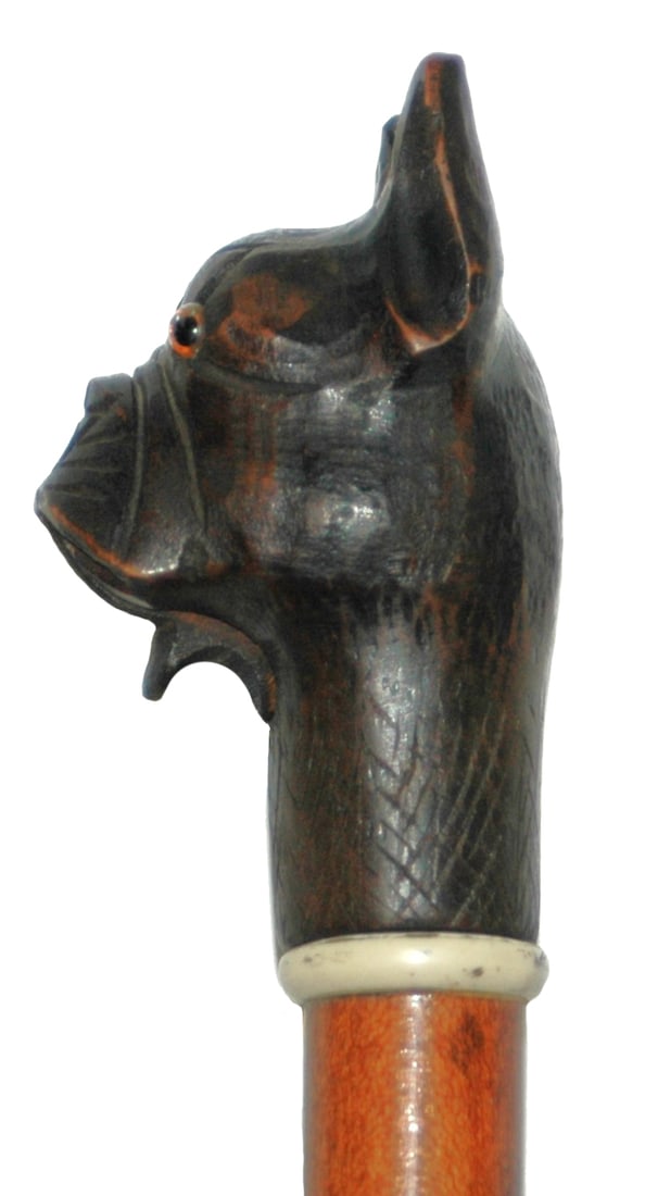 Black Forest Carved Boxer Dog w Spring Mouth Cane (1 of 3)