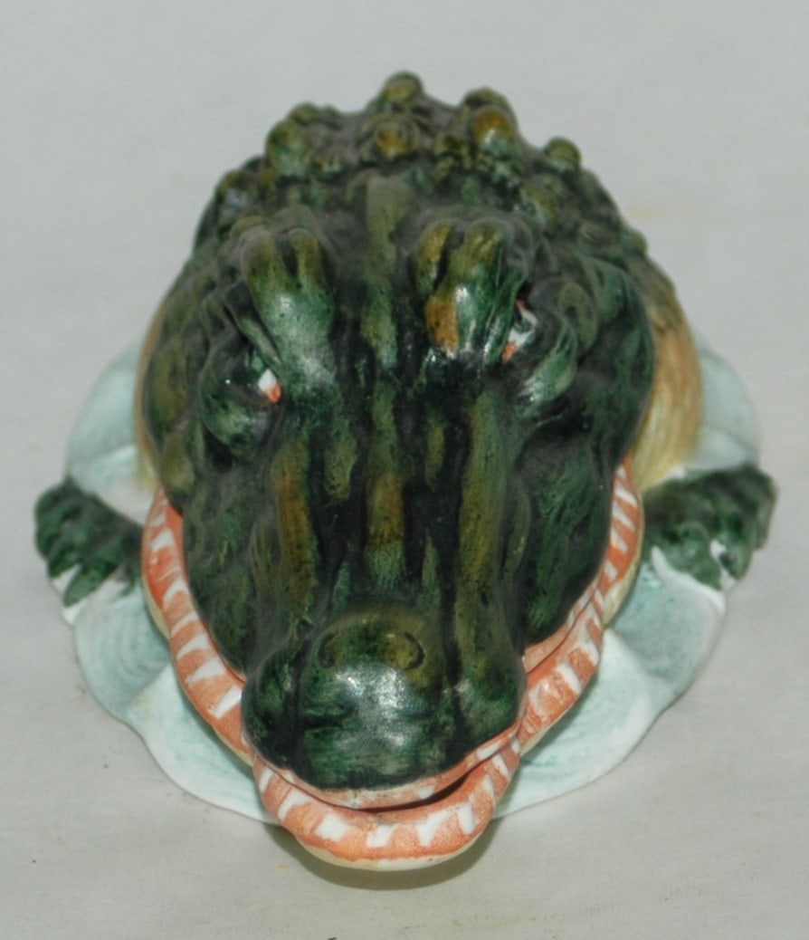 Bohne Alligator Character 6" Box - 2