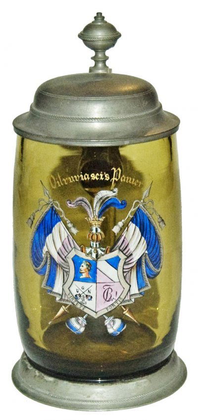 Dueling Fratenal Shield Enamel Glass Stein (1 of 1)