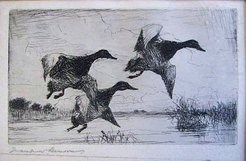 Nine (9) EARLY Migratory Federal Duck Stamp Prints: Benson, Frank W. (American, 1862-1951). Lithograph; 1935-1936. Federal Migratory Bird print and stamp. Nine matted, unframed duck stamp prints from the Federal US Duck / Migratory Bird Stamp print pro