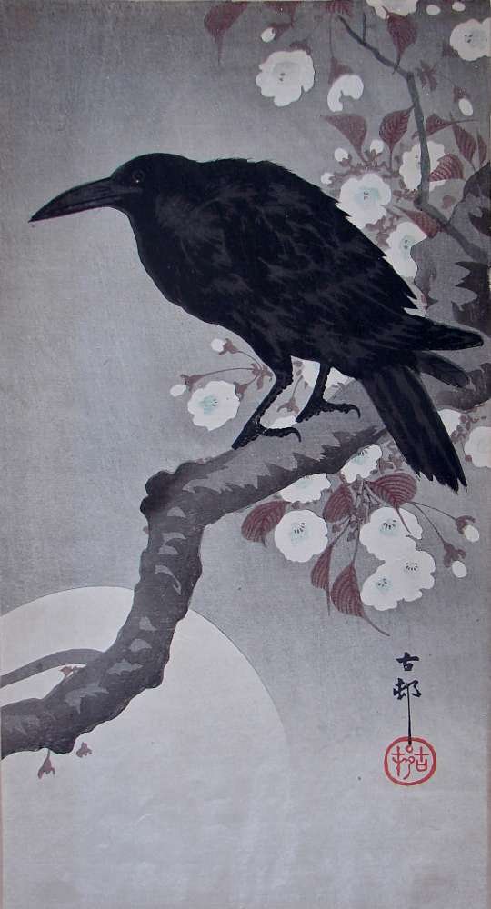 Shoson Koson Carrion Crow Flowering Cherry: A Japanese woodblock print by Ohara Shoson depicting a carrion crow on a flowering cherry branch below the full moon. This appears to be print is number K5.3 in the catalog raisonne "Crows, Cranes & C
