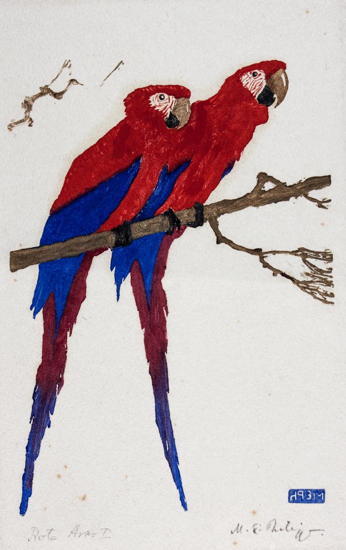 Philipp, Rote Aras I (1 of 1)