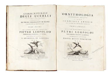 Manetti, Storia naturale degli uccelli. 1676