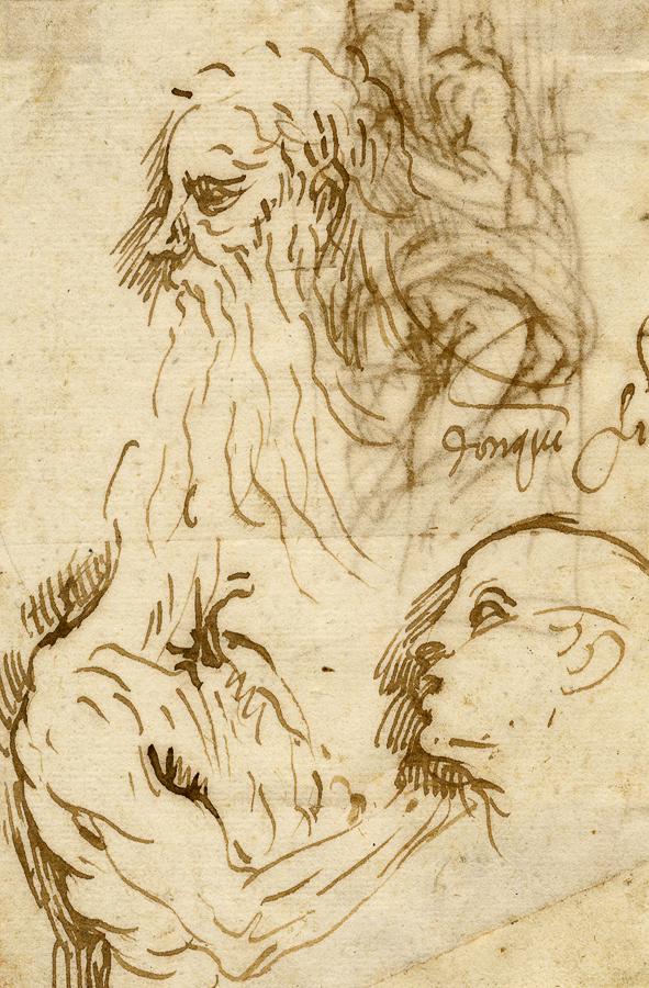 Foglio con due studi di teste e figura...: Anonimo del XVI secolo, Foglio con due studi di teste e figura a mezzobusto di tre quarti (r) / santo con le braccia incrociate sul petto (v). Penna e inchiostro bruno su carta vergellata sottile