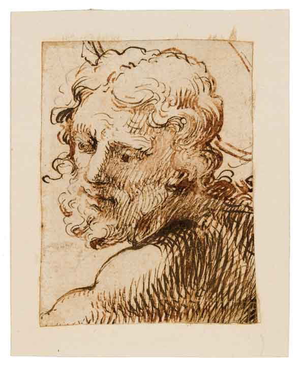 Bartolomeo Passarotti: Bartolomeo Passarotti (1529 - 1592) [attribuito a], Studio di volto virile. Penna e inchiostro bruno e matita di grafite. mm 93x70. Applicato a supporto di cartoncino.
