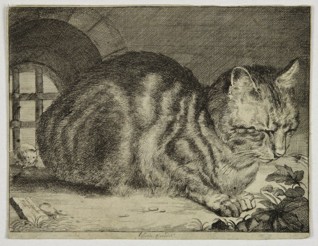 Visscher Cornelis: Cornelis Visscher (1629-1658). Gatto. Bulino, mm. 140 x 181; (HOLLSTEIN 42; secondo stato di due). (1) Profilata. leggero ingiallimento