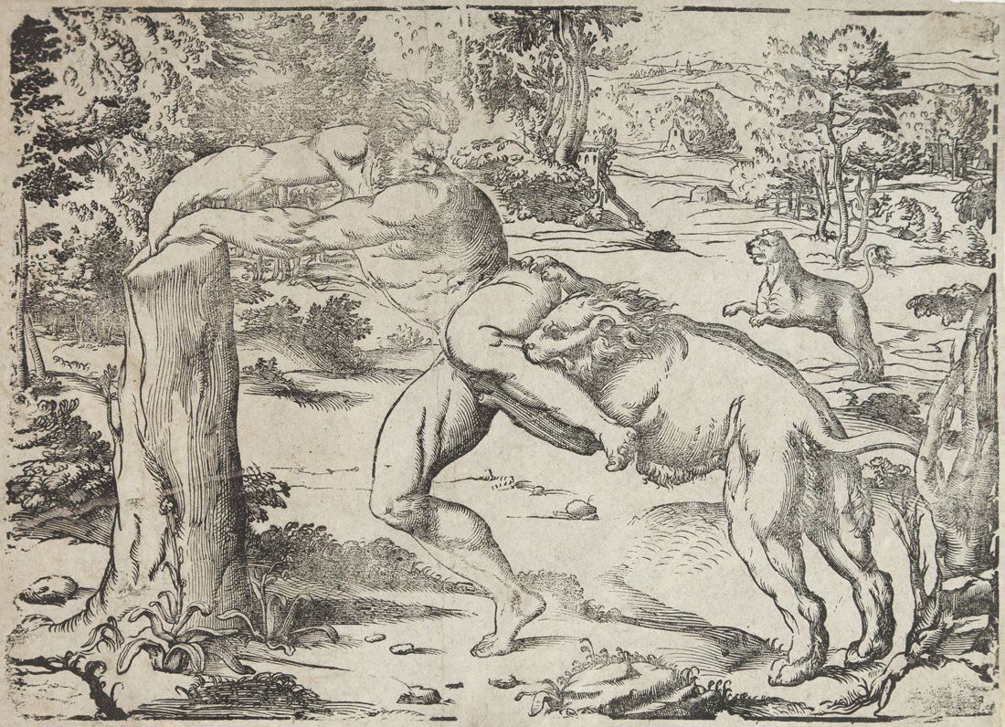 Nicol Boldrini (1 of 2)