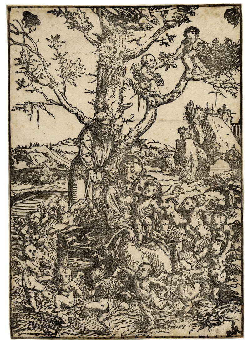 Lucas Cranach (il Vecchio) (1 of 1)