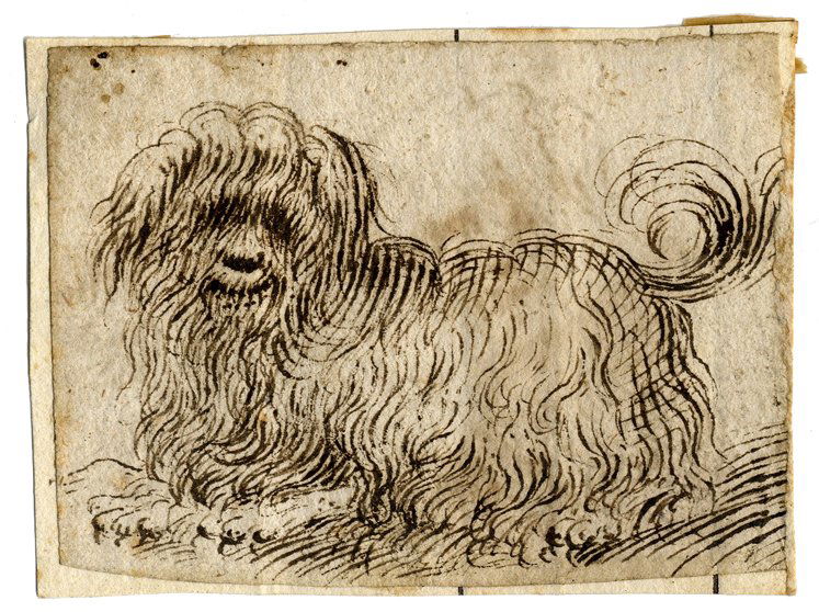 Domenico Campagnola (1 of 2)