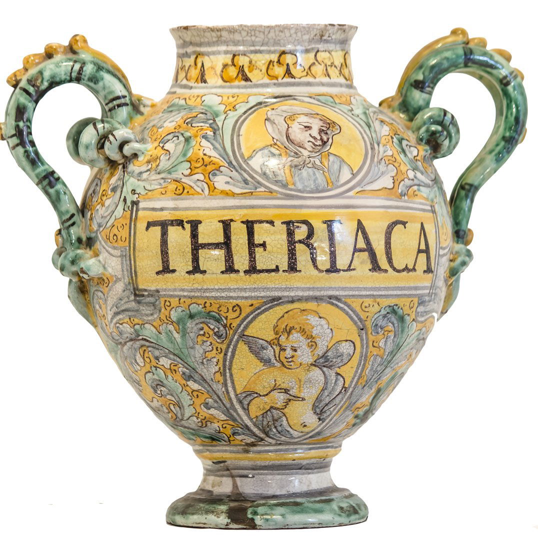 Chevrette biansata (1 of 1)