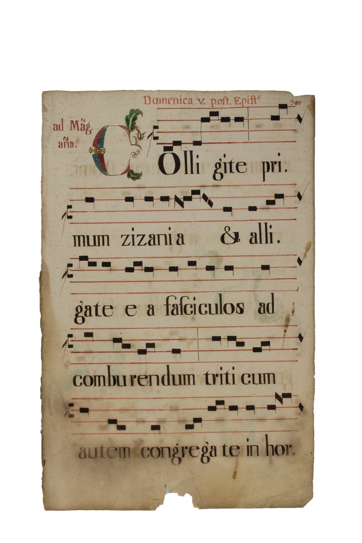 Raccolta di 39 carte di antifonario (1 of 3)