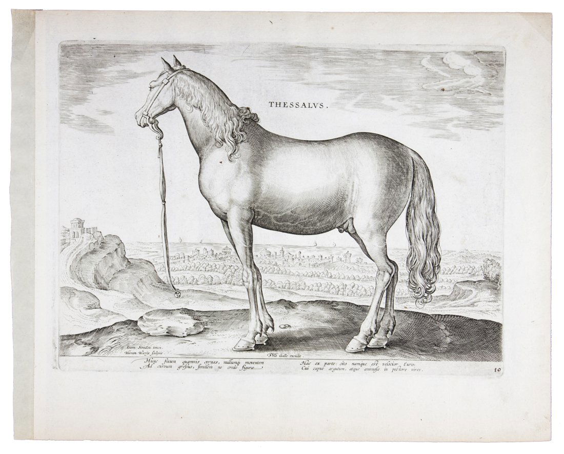 Thessalus.: Hieronymus Wierix , Thessalus. 1578 ca. Bulino. mm 195x262. Foglio: mm 253x303. NHD (The Wierix Family), 2204. Da un'invenzione di Giovanni Stradano. Firmata nell'inciso in basso a sinistra. All'angol