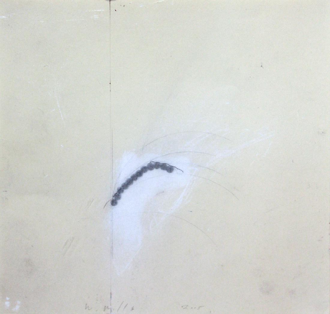 Wes Mills (Born 1960) (1 of 1)