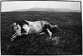 Bruce Davidson_Untitled (from the Welsh Minors: Series), 1965, Gelatin silver print; Signed, “Bruce Davidson” in pencil on verso; Illustrated in: Bruce Davidson: Photographs; Image: 8 x 10 inches