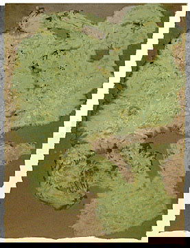 Ed Moses - Untitled (226.90): 1990 Acrylic on washi Provenance: From the collection of Rick Barnett, Director and Curator Hal Bromm Gallery, New York, NY, 1983; LA Louver, Los Angeles, CA tag on verso Image: 43 x 32 inches; Framed