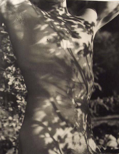 Bruce Weber Tyke Long Pond Adirondack Park NY: 1998 Gelatin silver print Numbered 76/100 Signed, titled, and numbered in pencil verso Image: 13 ½ x 10 ½ inches; Sheet: 14 x 11 inches