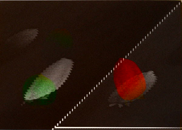 Tomoe Yokoi - Untitled: Mezzotint Numbered 54/75 Signed, titled and numbered on recto Image: 9 x 13 icnhes; Framed: 20 x 24 1/2 inches