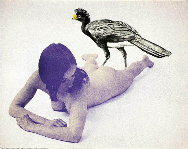 Mel Ramos, Curassow, Leta and the Swan Series, 1969 (1 of 1)