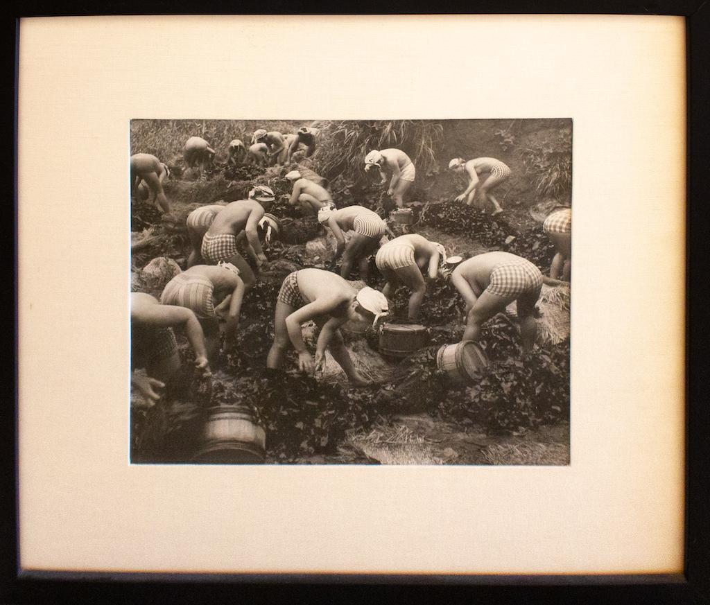 Yoshiyuki Iwase (1904 - 2001) Seaweed harvest, 1956/60: Yoshiyuki Iwase (1904-2001) Seaweed Harvest, 1956/60 Purchased in Japan from John Walker Acquired from estate of artist Chop signature on verso Image: 9.5 x 11.5 inches Framed: 17 x 19 inches